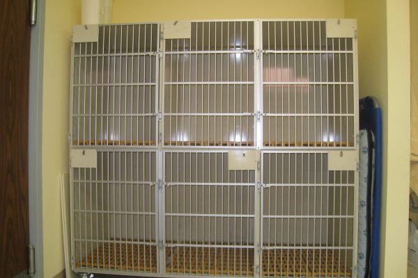 Treatment Kennels