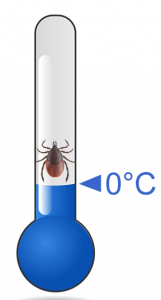 Tick on thermometer at 0°C
